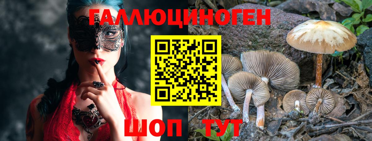 Псилоцибиновые грибы GOLDEN TEACHER Алексин