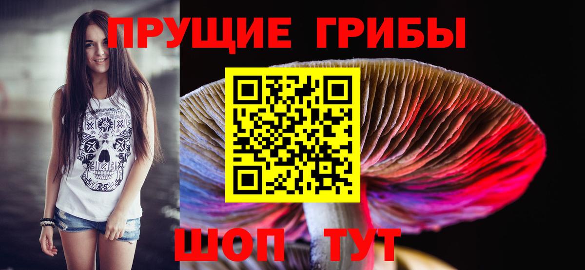 Алексин  Галлюциногенные грибы Cubensis  Вход с VPN 